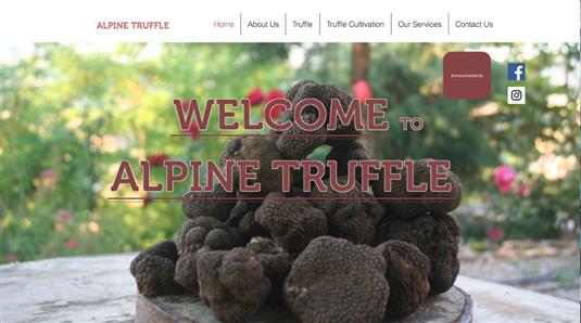  Alpine Truffle Company  Washington da faaliyet gösteriyor. www.alpinetruffle.com